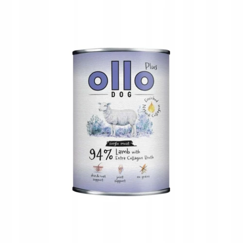obraz_2026-09-19_103148946.png